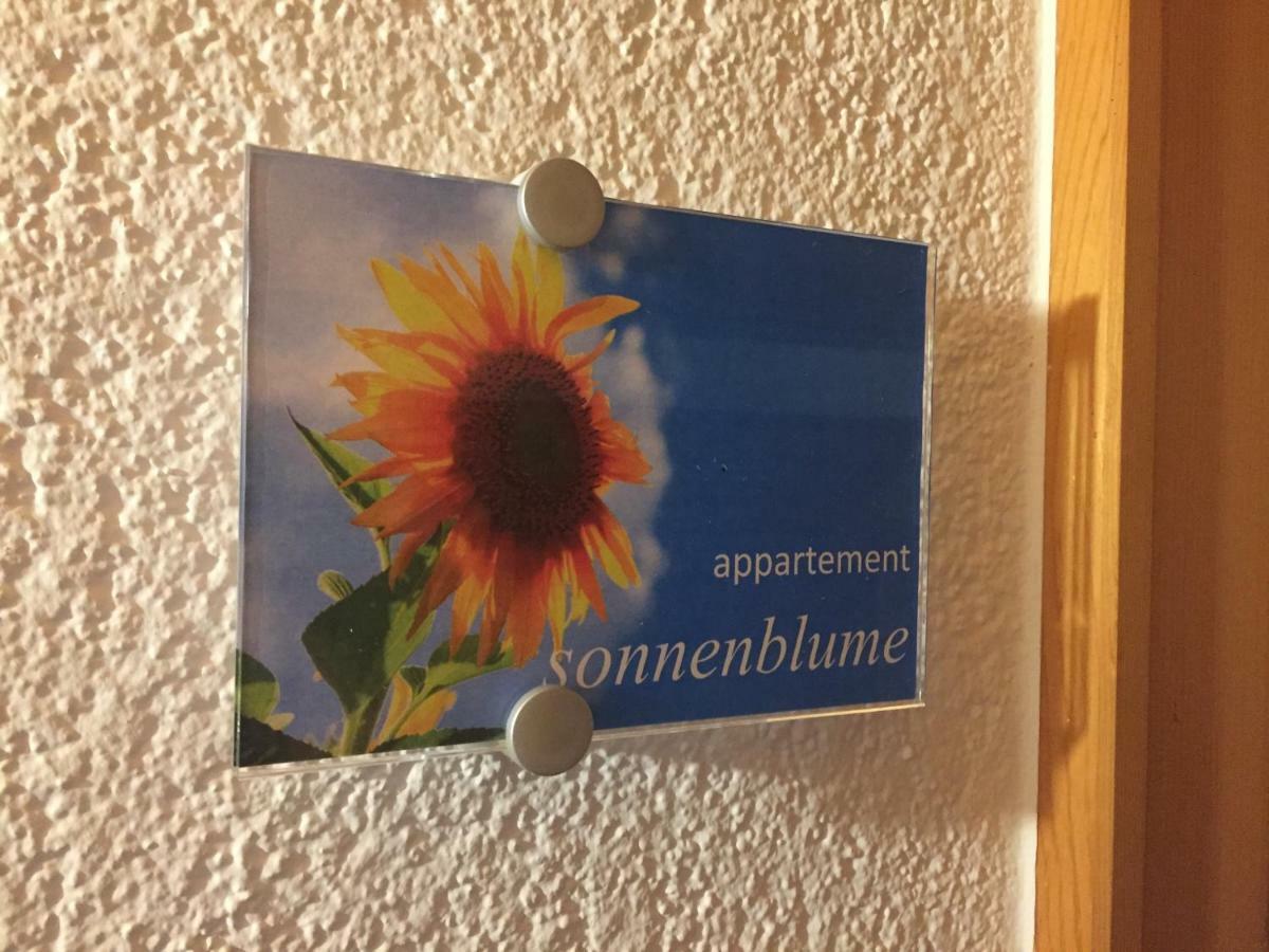 Sunnaschi Appartements - Wohnungen Oder Gesamt Als "Huette" Laterns Eksteriør bilde